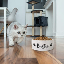 Load image into Gallery viewer, Personalized Pet Bowl with Your Pet's Name - Pet Bowl for Your Dog, Cat - NQS1140